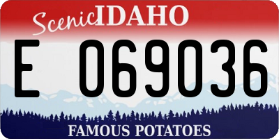 ID license plate E069036