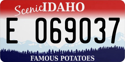 ID license plate E069037