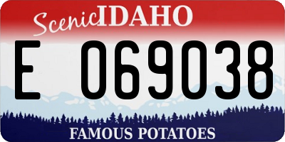ID license plate E069038