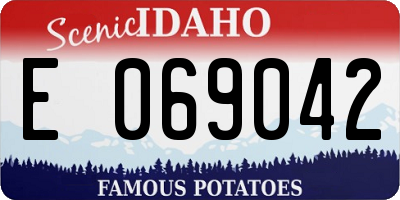 ID license plate E069042