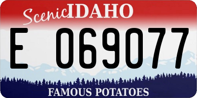 ID license plate E069077