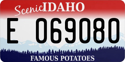 ID license plate E069080
