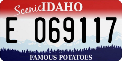 ID license plate E069117