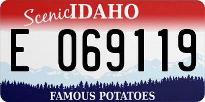 ID license plate E069119