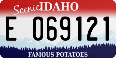 ID license plate E069121