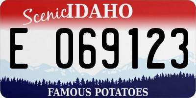ID license plate E069123