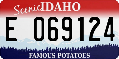 ID license plate E069124