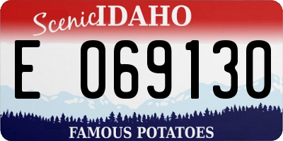 ID license plate E069130