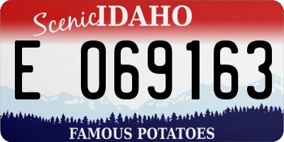 ID license plate E069163