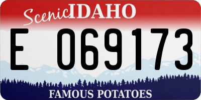 ID license plate E069173