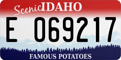ID license plate E069217