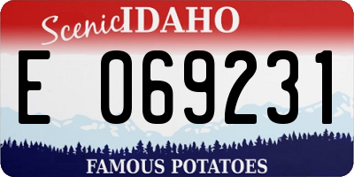 ID license plate E069231