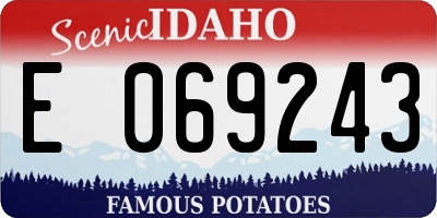 ID license plate E069243