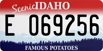 ID license plate E069256