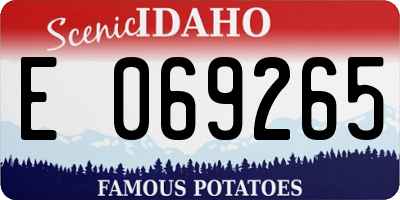 ID license plate E069265