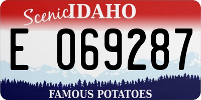 ID license plate E069287