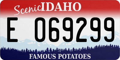 ID license plate E069299