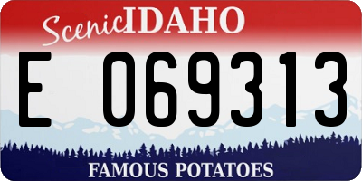 ID license plate E069313