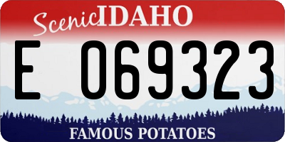 ID license plate E069323