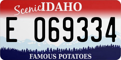 ID license plate E069334
