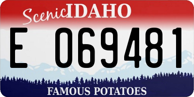 ID license plate E069481