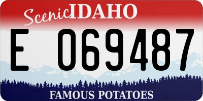 ID license plate E069487
