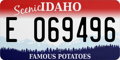 ID license plate E069496