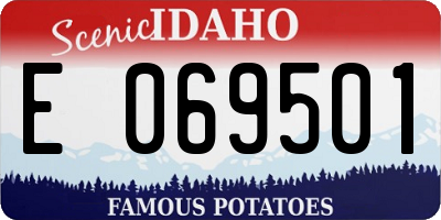 ID license plate E069501