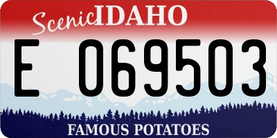 ID license plate E069503