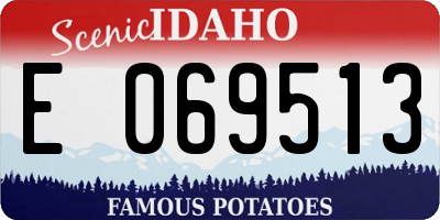 ID license plate E069513