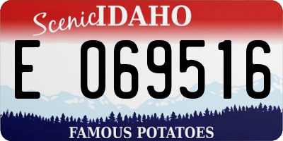 ID license plate E069516