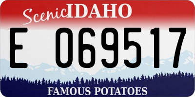 ID license plate E069517