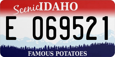 ID license plate E069521
