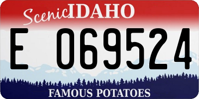 ID license plate E069524