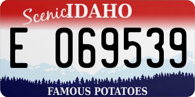 ID license plate E069539