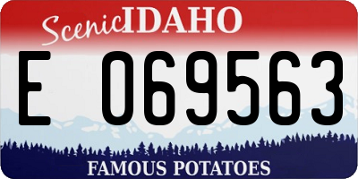 ID license plate E069563