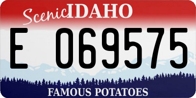 ID license plate E069575
