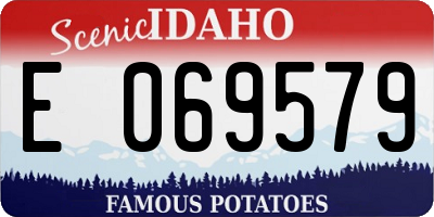 ID license plate E069579