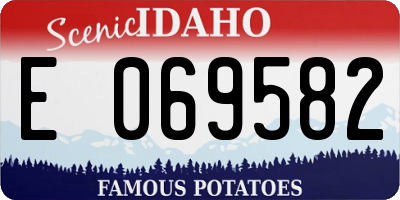 ID license plate E069582
