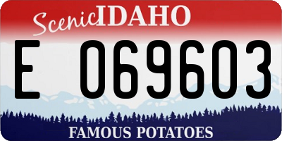 ID license plate E069603