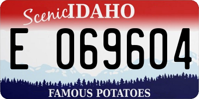 ID license plate E069604