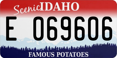 ID license plate E069606