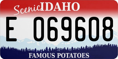 ID license plate E069608
