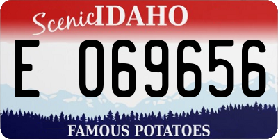 ID license plate E069656