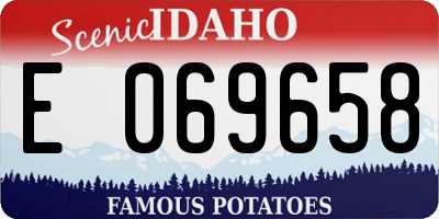 ID license plate E069658