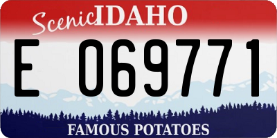 ID license plate E069771