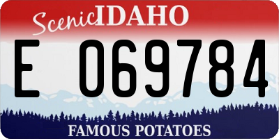 ID license plate E069784