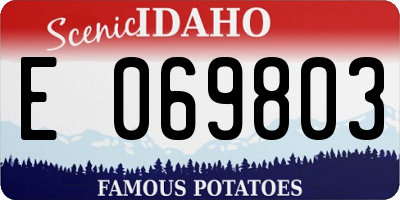 ID license plate E069803