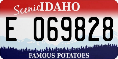 ID license plate E069828