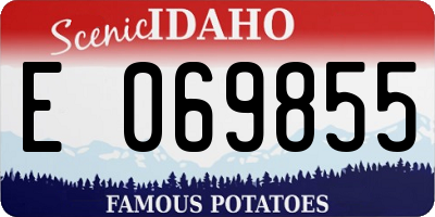 ID license plate E069855